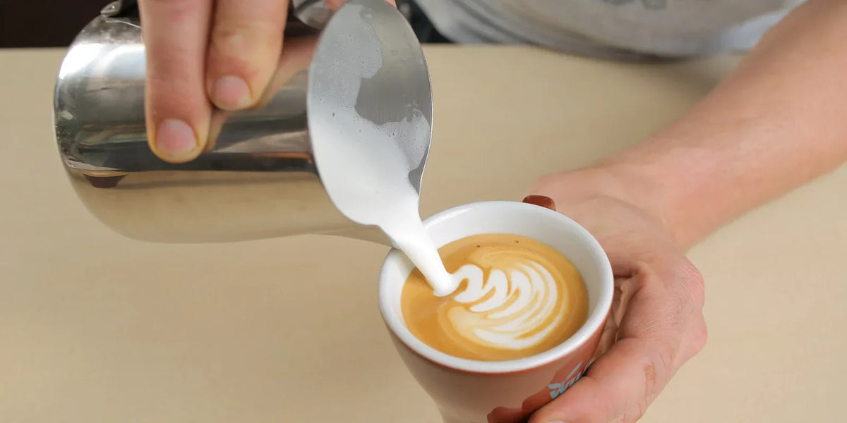 Pouring silky steamed full cream milk into a cappuccino for latte art