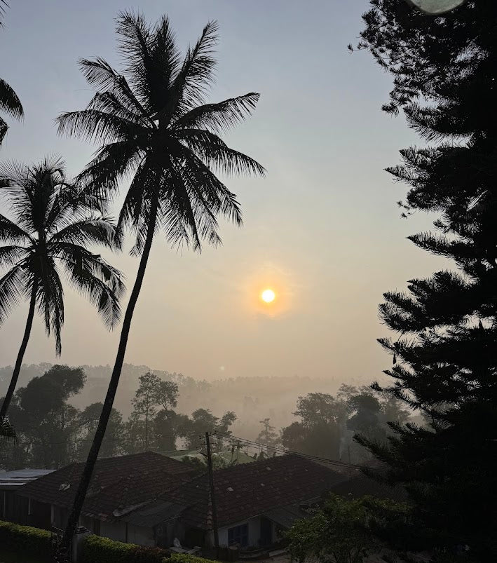 Hoysala Estates, the Chikmagalur farm where Tiny Tiger coffee is grown